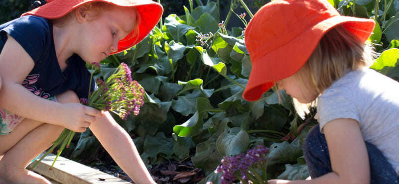 Getting into the garden with your child